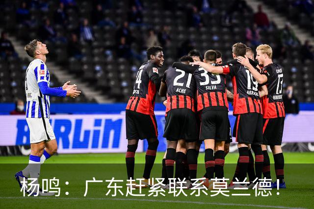 杨鸣：广东赶紧联系莫兰德！
