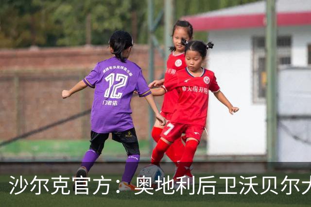 沙尔克官方：奥地利后卫沃贝尔大腿拉伤