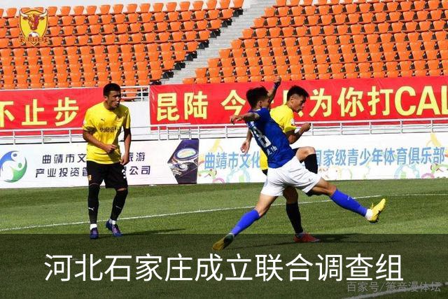 河北石家庄成立联合调查组