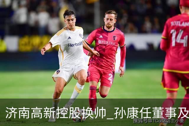 济南高新控股换帅 孙康任董事及总经理