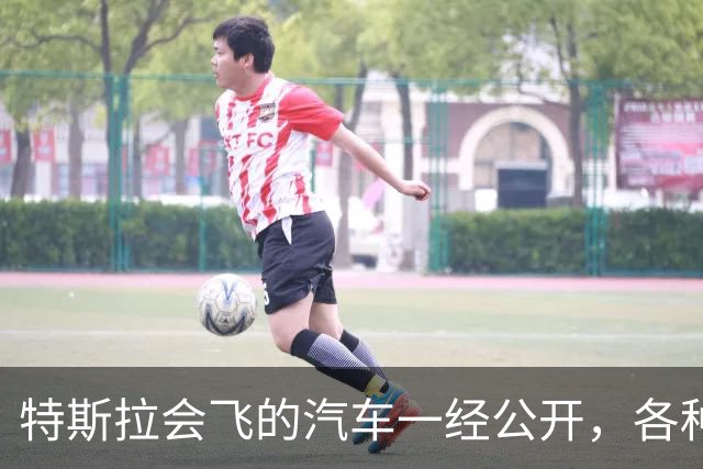 特斯拉会飞的汽车一经公开，各种吸附原理大揭秘都出来了，其实还是得佩服人家想象力