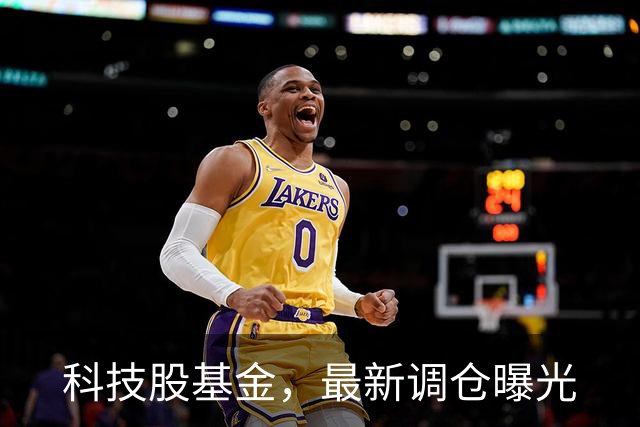 科技股基金，最新调仓曝光