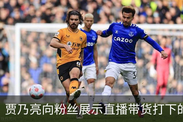 贾乃亮向粉丝展示直播带货打下的江山，参观衣帽间