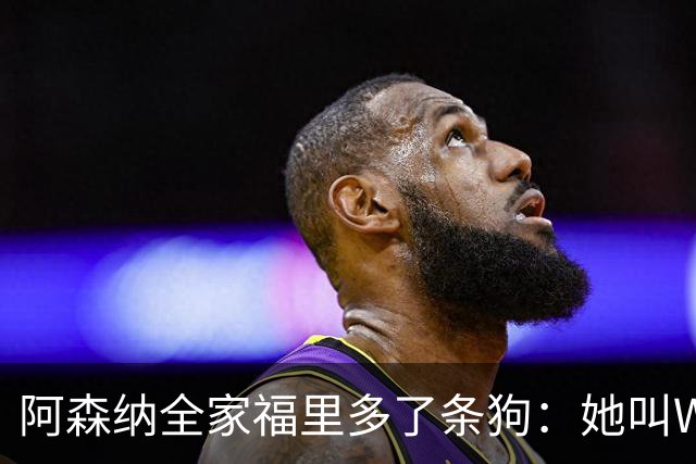 阿森纳全家福里多了条狗：她叫Win，2023年就进了训练基地