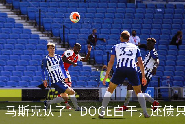马斯克认了：DOGE白干，还债只能靠AI和机器人